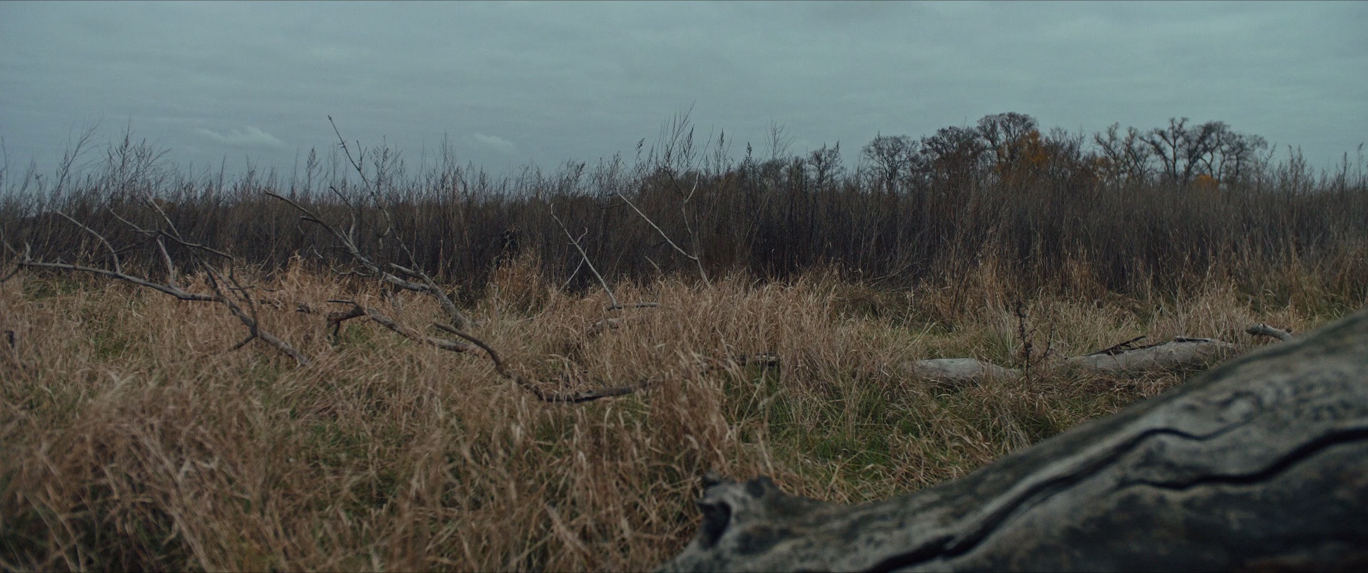 图片[6]-[夸克下载][狙击手·白乌鸦][WEB-MKV/12.3G][英语中字][1080P][乌克兰战争片]-影音屋