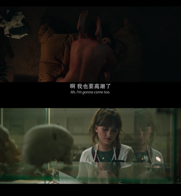 图片[3]-[夸克下载][爱猫人/爱猫之人][WEB-MKV/3.9GB][英语中字][1080P][C度]-影音屋