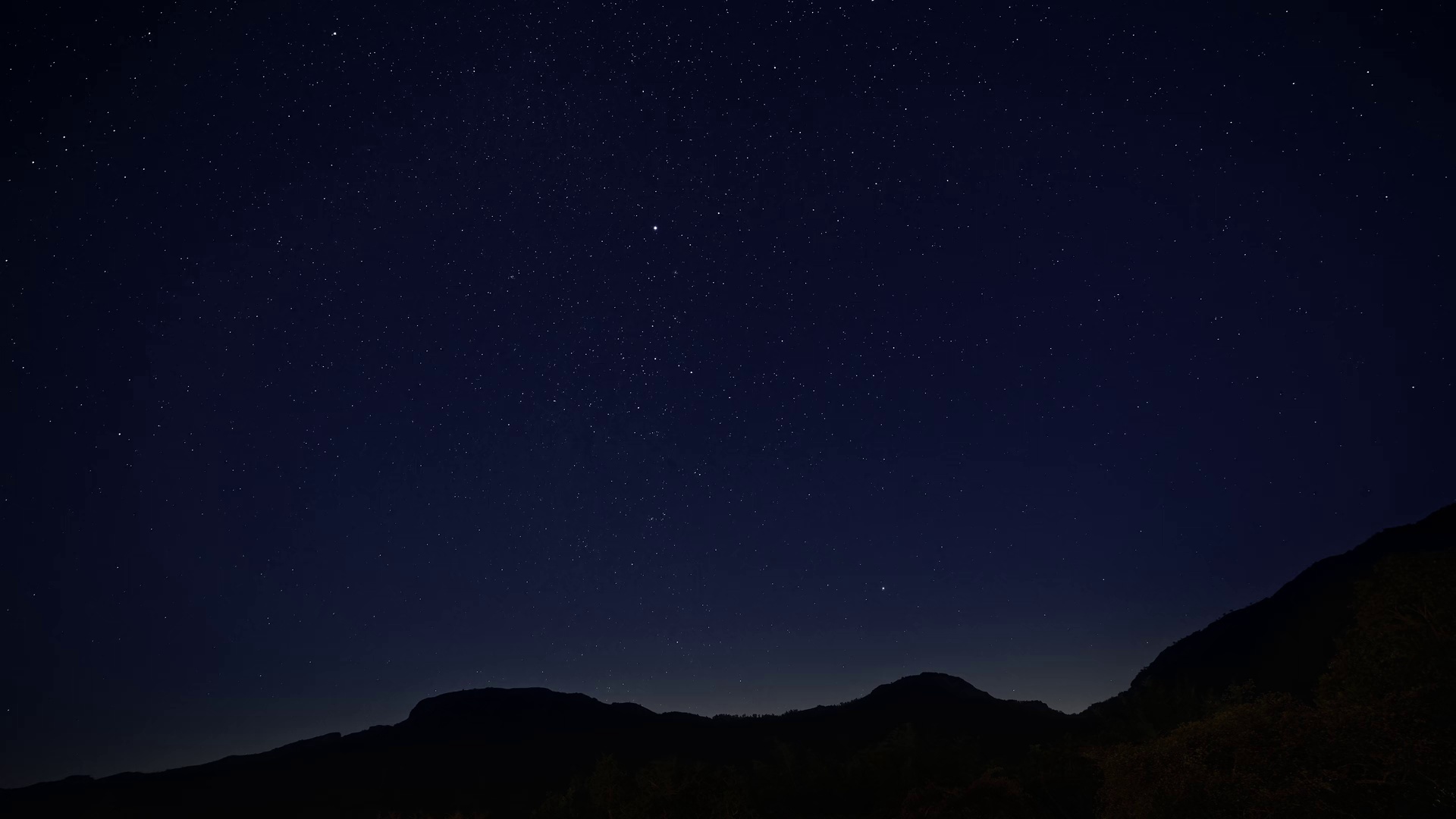 图片[6]-[夸克下载][小象守护者][WEB-MKV/2.2G][中文字幕][1080P][奥斯卡最佳短片]-影音屋