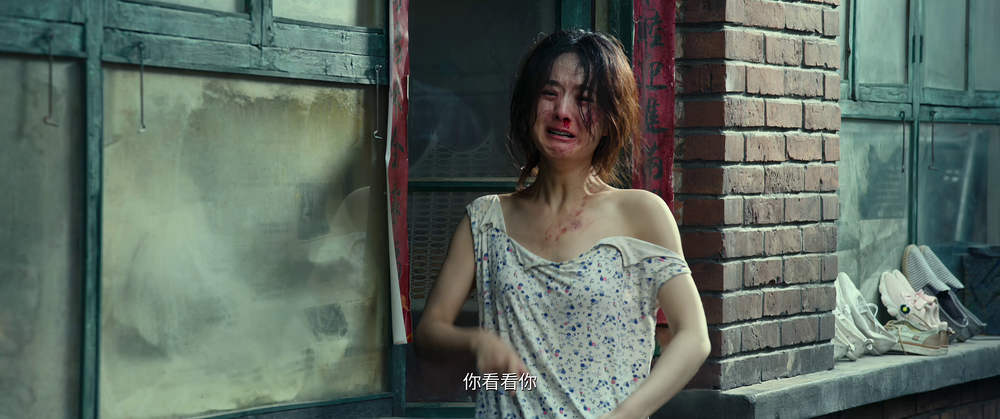 图片[8]-[夸克下载][第二十条][WEB-MKV/11.9G][国语中字][4K-2160P][120FPS][雷佳音 马丽 高叶 赵丽颖]-影音屋