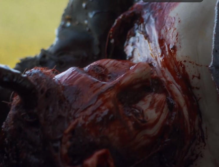 图片[6]-[夸克网盘][暴力本性][WEB-MKV/5GB][英语中字][4K-2160P]精彩恐怖片]-影音屋