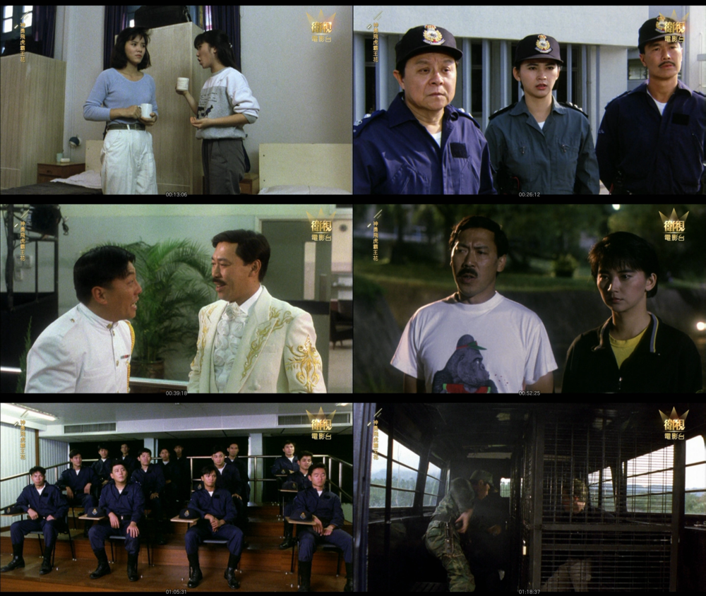 图片[2]-[夸克下载][神勇飛虎霸王花 1989][HDTV-TS/5.4G][国粤双语][繁英中字][1080P][高清修复][HDSTV]-影音屋