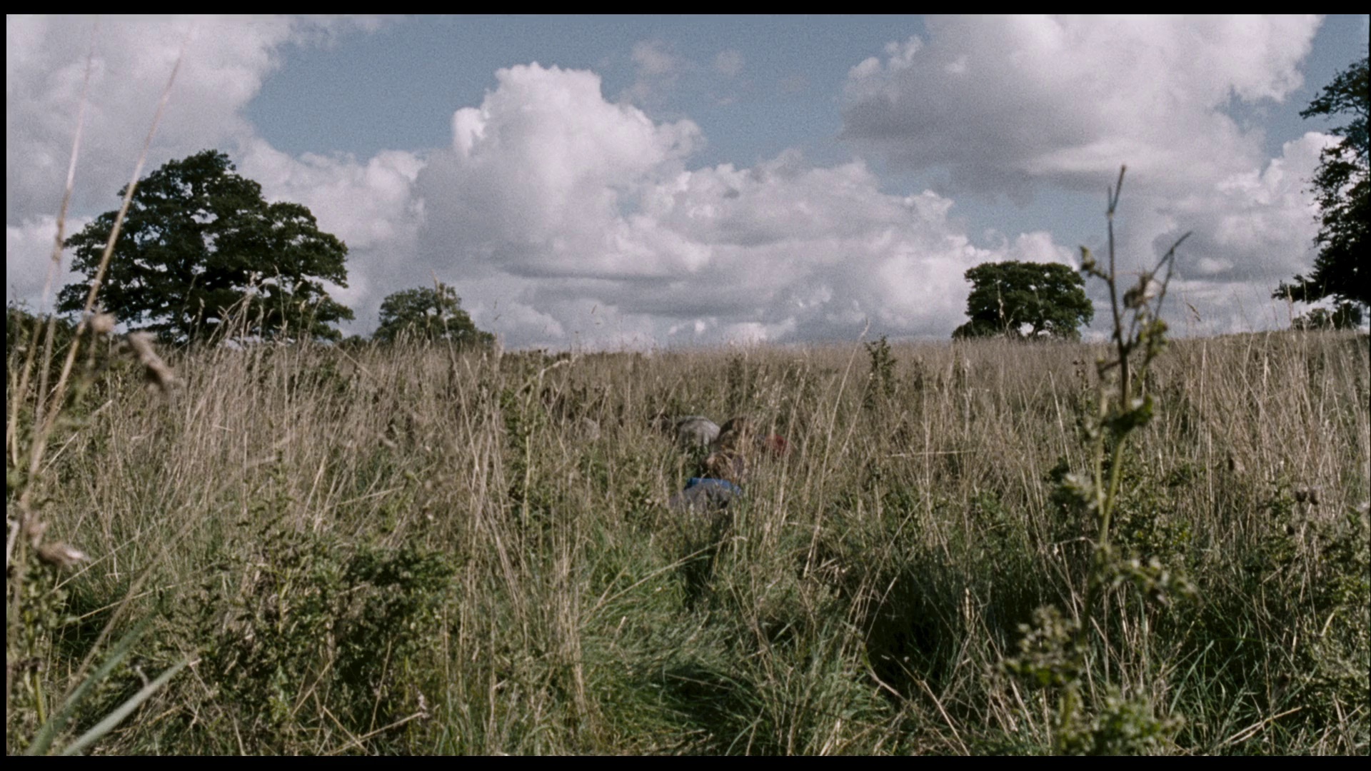 图片[7]-[夸克下载][惊变28周][WEB-MKV/27.1G][英语中字][4K-2160P][恐怖丧尸]-影音屋