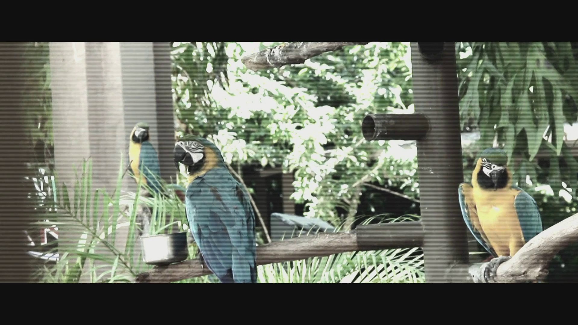 图片[4]-[夸克下载][幻世追踪][WEB-MKV/23.1G][英语中字][1080P][布鲁斯·威利斯]-影音屋