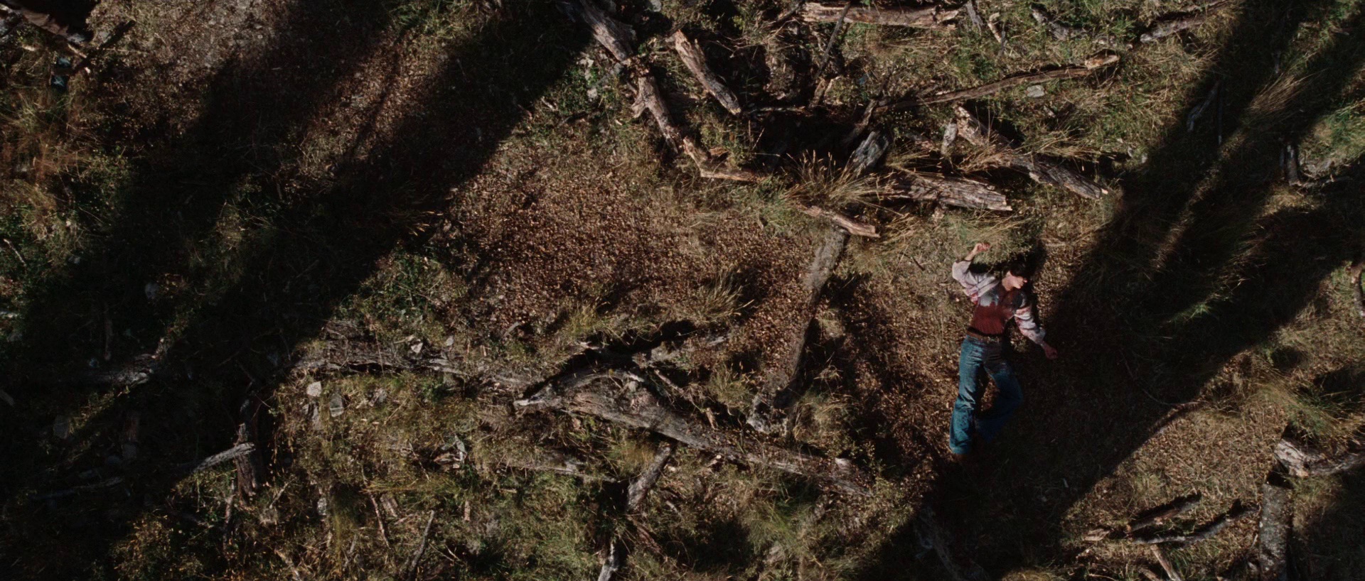 图片[4]-[夸克下载][金刚狼][全3部][BD-REMUX/106G][国英多音轨/中文字幕][4K-2160P]-影音屋