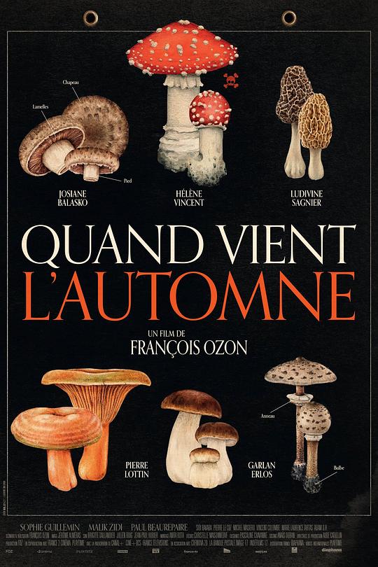 [夸克下载][秋日何时来][WEB-MKV/7.3G][中文字幕][1080P][2024最新 8分精品]-影音屋