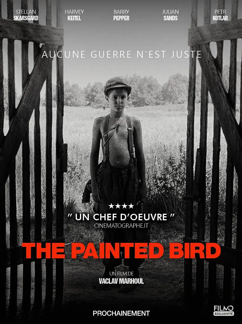 [夸克下载][被涂污的鸟 / 色鸟 未删减版][WEB-MKV/3.1G][捷克语中字][1080P][8.1分 情欲 战争片]-影音屋