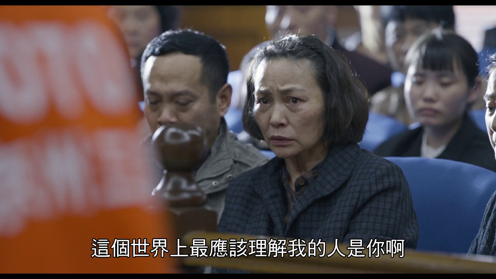 图片[8]-[夸克下载][我经过风暴][WEB-MKV/14.3G][国语配音/中文字幕][4K-2160P][佟丽娅]-影音屋