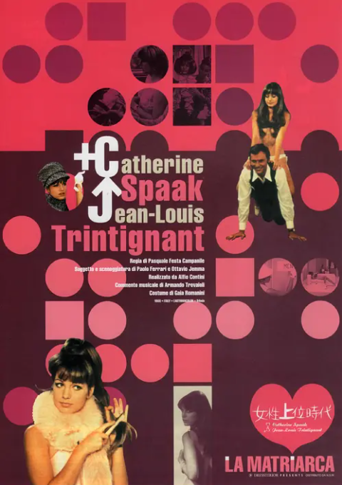 [夸克下载][女性上位时代/分分秒秒换情郎][WEB-MKV/510MB][中文字幕][1080P][未删减]-影音屋