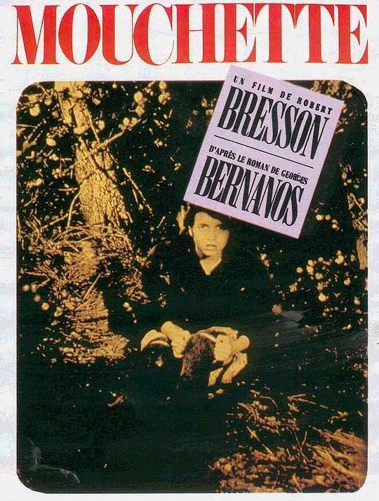 [夸克下载][穆谢特][WEB-MKV/20.3G][中文字幕][1080P][8.4分精品]-影音屋