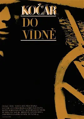 [夸克下载][维也纳快车][WEB-MKV/10.2G][中文字幕][1080P][8.2分精品]-影音屋