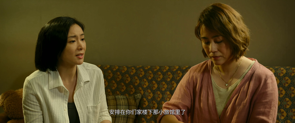 图片[5]-[夸克下载][第二十条][WEB-MKV/11.9G][国语中字][4K-2160P][120FPS][雷佳音 马丽 高叶 赵丽颖]-影音屋