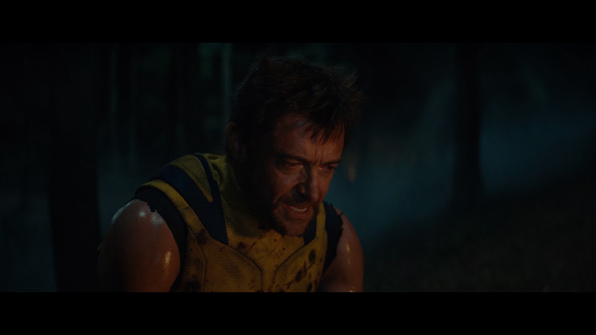 图片[6]-[夸克下载][死侍与金刚狼][WEB-MKV/22.2G][英语中字][4K-2160P]-影音屋