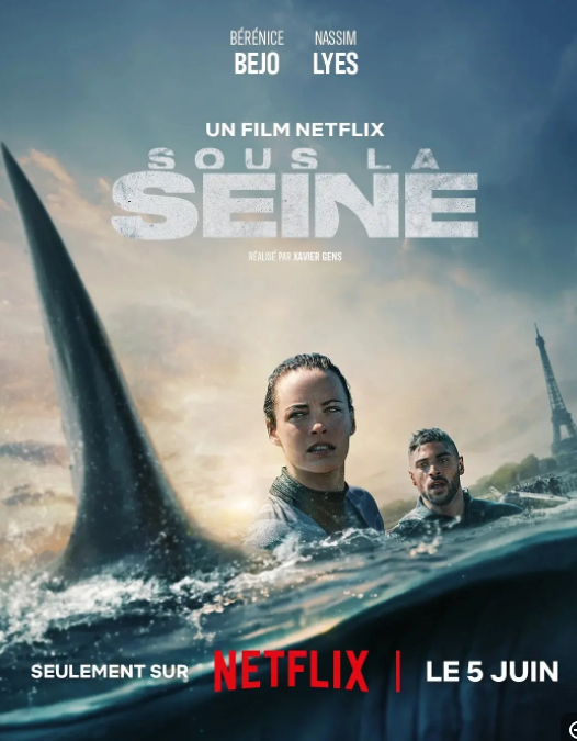 [夸克下载][巴黎深渊][WEB-MP4/9.7GB][法语中字][4K-2160P][恐怖灾难片]-影音屋