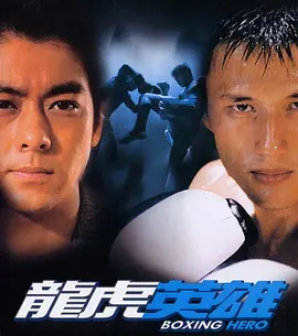 [夸克下载][龙虎英雄][WEB-MKV/10.3G][国语配音/中文字幕][1080P][林志颖 / 尹子维]-影音屋