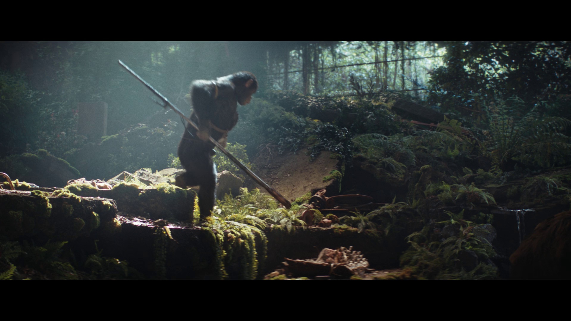 图片[4]-[夸克下载][猩球崛起：新世界][WEB-MKV/15.2G][英语中字][4K-2160P]-影音屋