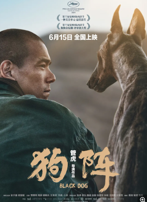 [夸克下载][狗阵][WEB-MP4/7.2G][国语中字][4K-2160P][彭于晏 佟丽娅 最新大片]-影音屋