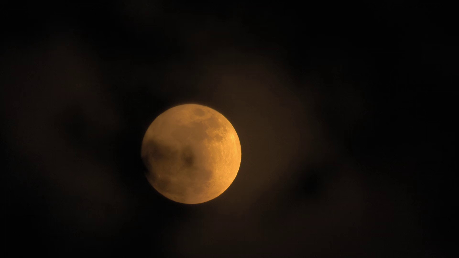 图片[5]-[夸克下载][小象守护者][WEB-MKV/2.2G][中文字幕][1080P][奥斯卡最佳短片]-影音屋