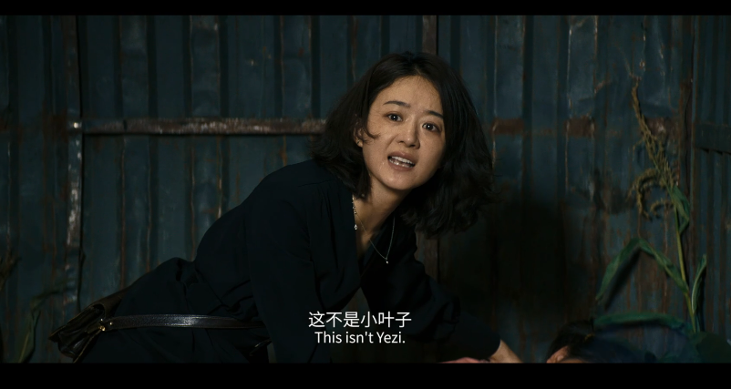 图片[8]-[夸克下载][浴火之路][WEB-MP4/6.28GB][国语中字][1080P][2024最新大片 肖央 赵丽颖 刘烨 无水印]-影音屋