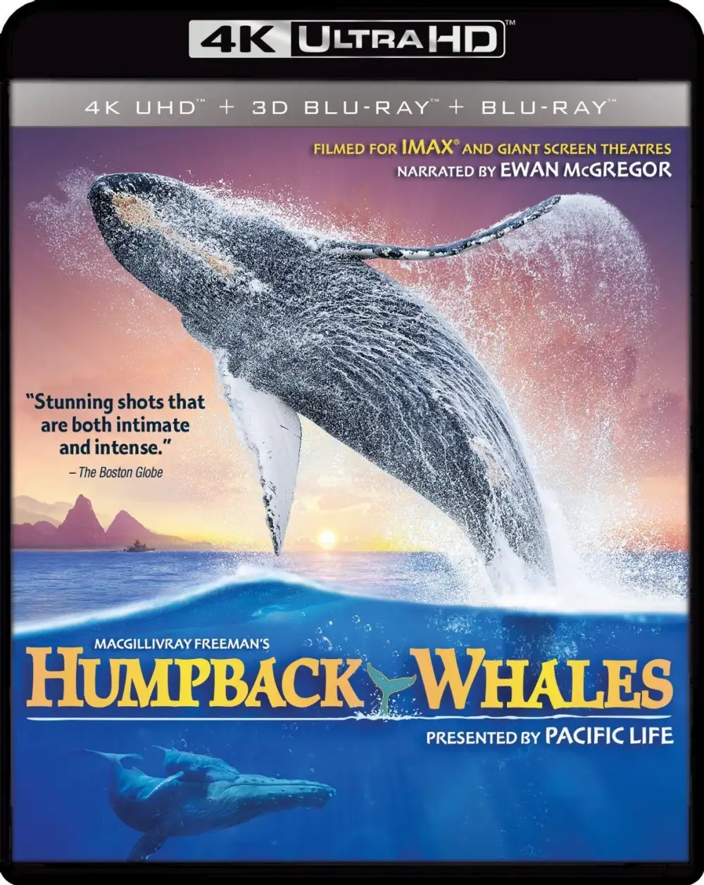 [夸克下载][座头鲸 Humpback Whales ][UHD-BluRay-REMUX][4K-2160P][HDR][杜比音效][外挂英语中字][16.3GB]-影音屋