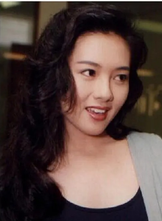 图片[3]-[夸克下载][李丽珍电影合集][全35部][WEB-MP4/89.2GB][国粤双语中字][1080P][高清修复未删减]-影音屋
