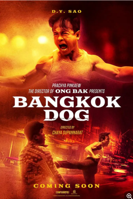 [夸克下载][曼谷战狼][WEB-MKV/2.3G][英语中字][1080P][2024最新动作大片]-影音屋