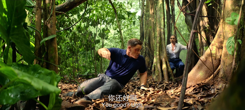 图片[5]-[夸克下载][自由职业者][WEB-MKV/11.8G][英语中字][4K-2160P][约翰·塞纳]-影音屋