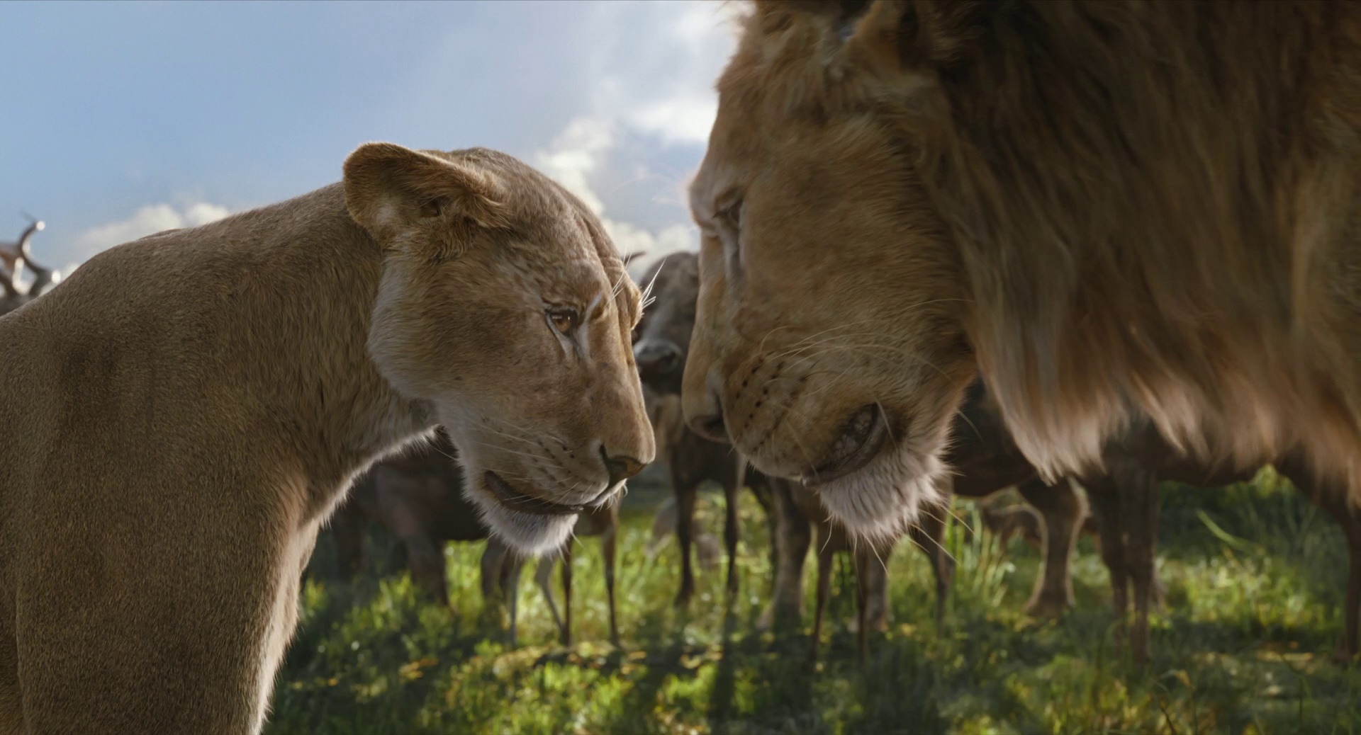 图片[8]-[夸克下载][狮子王][全5部][WEB-MKV/5G][国英双语中字][1080P][最新狮子王：木法沙传奇]-影音屋