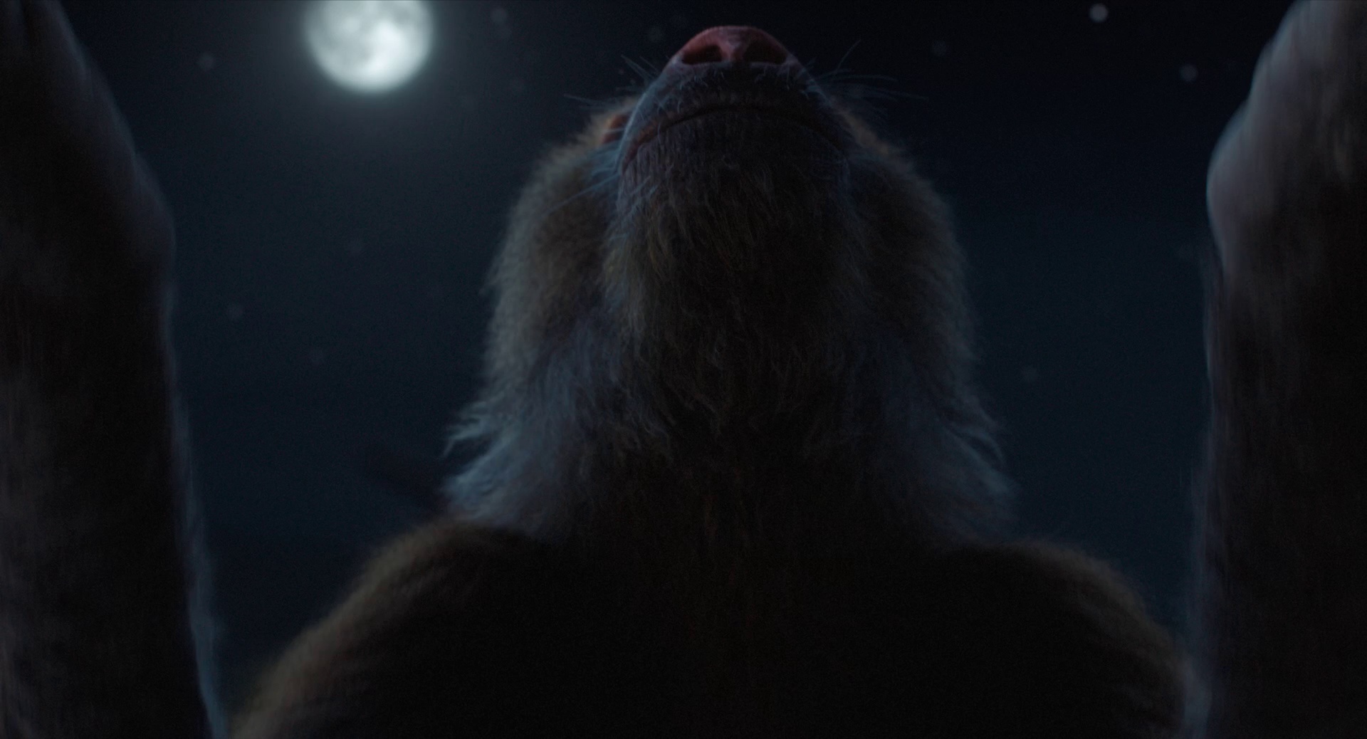 图片[5]-[夸克下载][狮子王][全5部][WEB-MKV/5G][国英双语中字][1080P][最新狮子王：木法沙传奇]-影音屋