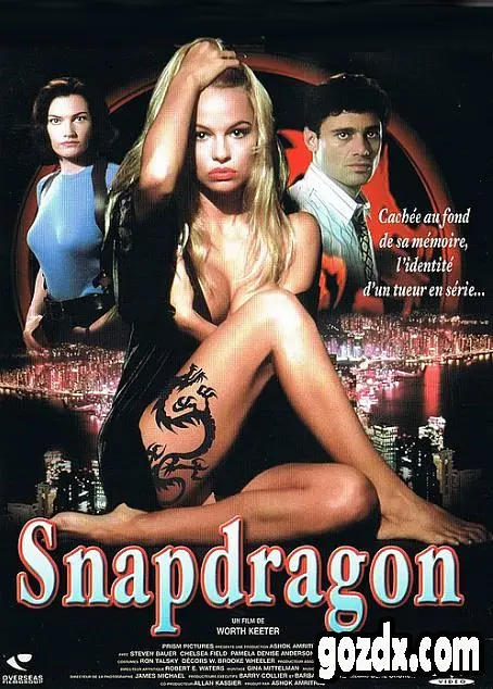 [夸克下载][杀人花 未删减版][WEB-MKV/3.1G][英语中字][1080P]-影音屋