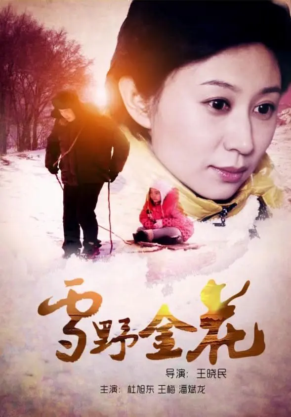 [夸克下载][雪野金花][HDTV-TS/4.9G][国语配音/中文字幕][1080P][CCTV6]-影音屋