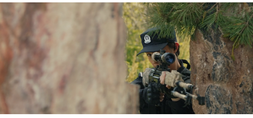 图片[2]-[夸克下载][狙击者2][WEB-MKV/1G][国语中字][1080P][徐冬冬 大胸妹]-影音屋