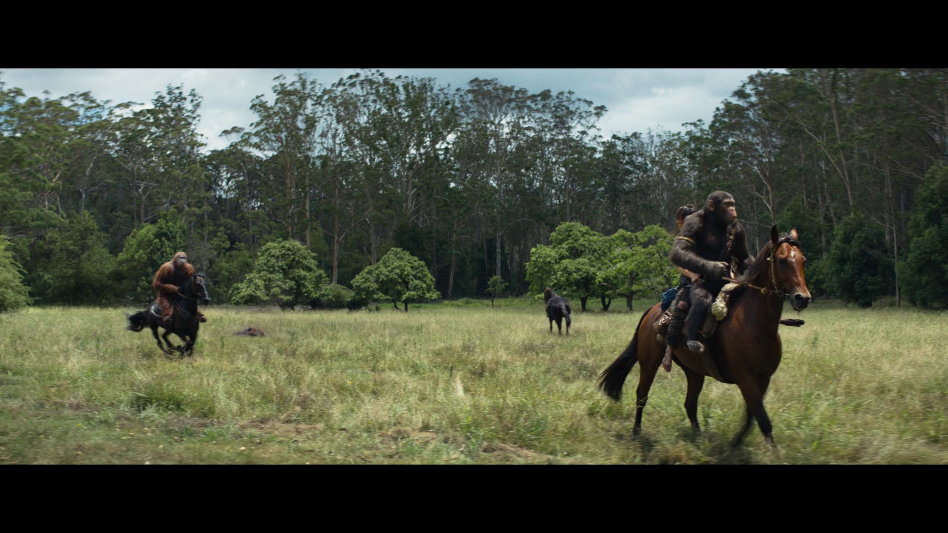 图片[5]-[夸克下载][猩球崛起：新世界][WEB-MKV/15.2G][英语中字][4K-2160P]-影音屋