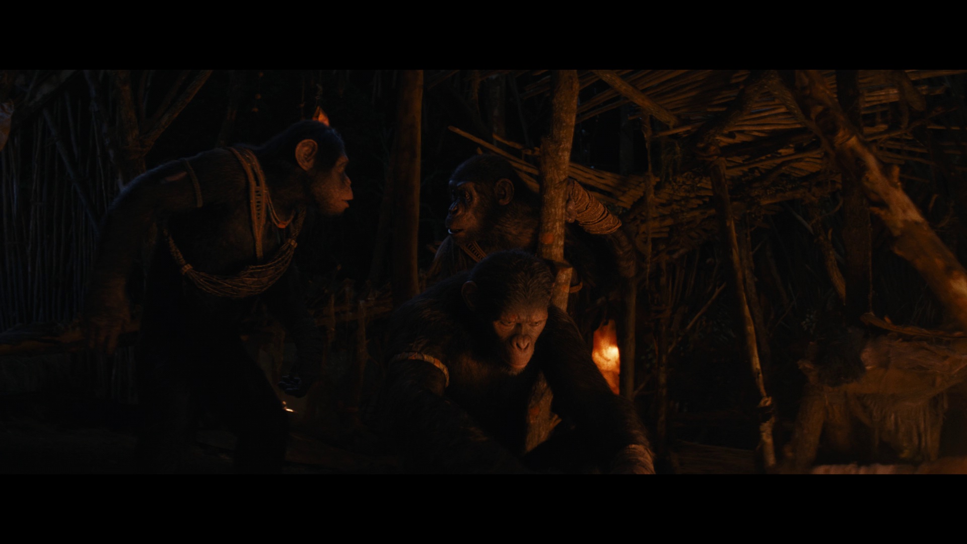 图片[3]-[夸克下载][猩球崛起：新世界][WEB-MKV/15.2G][英语中字][4K-2160P]-影音屋