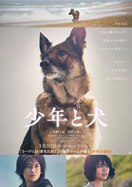 [夸克下载][少年与犬][WEB-MKV/8.5G][中文字幕][1080P][2025最新 正式版]-影音屋