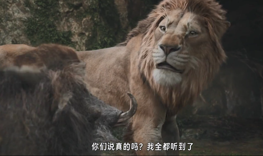 图片[2]-[夸克下载][狮子王：木法沙传奇][WEB-MKV/8GB][英语中字][1080P][正式版]-影音屋