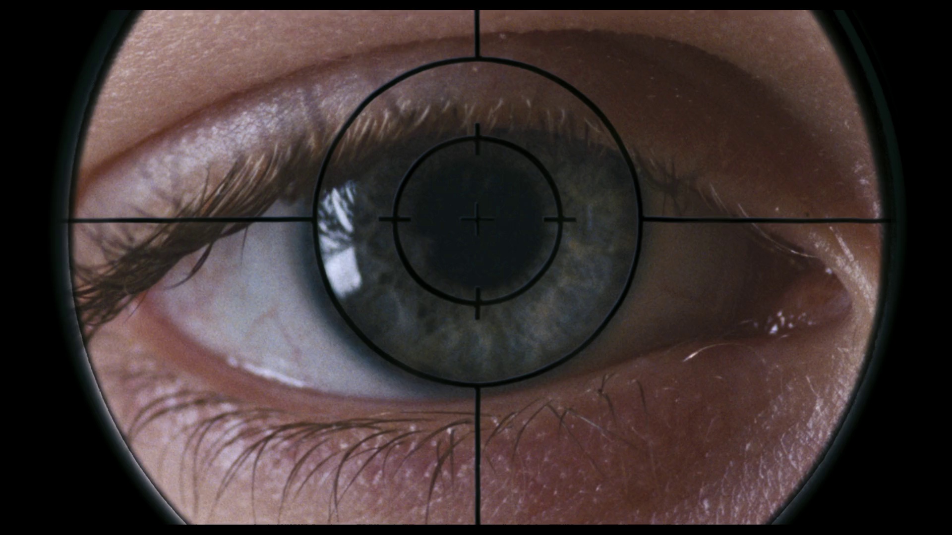 图片[3]-[夸克下载][惊变28周][WEB-MKV/27.1G][英语中字][4K-2160P][恐怖丧尸]-影音屋