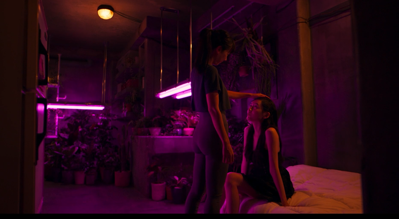 图片[7]-[夸克下载][隐藏的面孔][WEB-MKV3.8GB][韩语中字][1080P][宋承宪 曹汝贞 朴智炫 最新韩国尺度大片 多版本]-影音屋