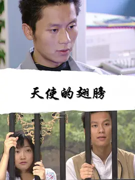 [夸克下载][天使的翅膀][HDTV-TS/5.1G][国语配音/中文字幕][1080P][CCTV6]-影音屋