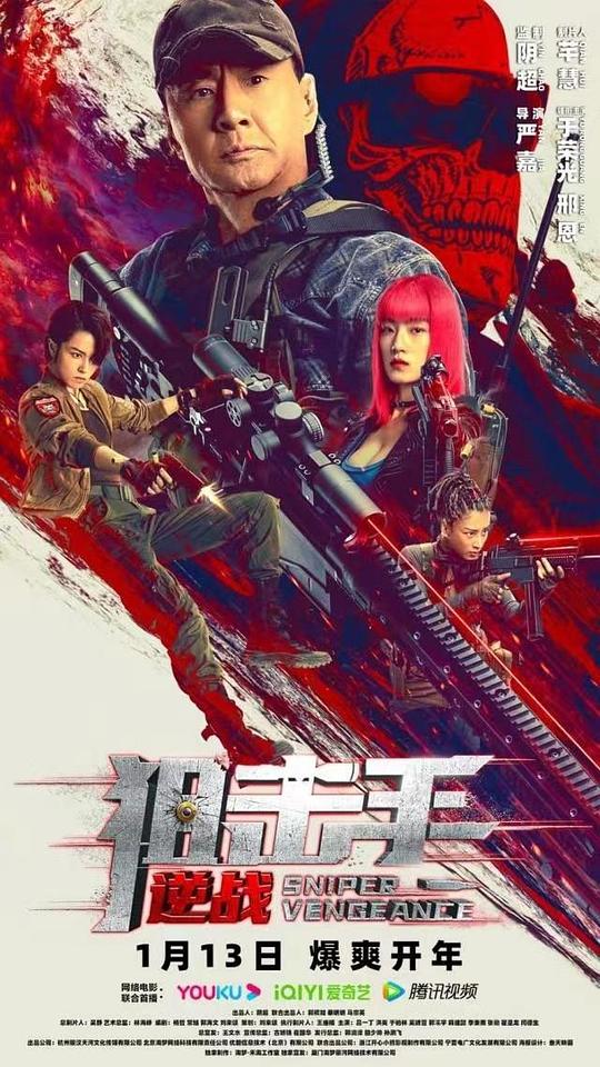 [夸克下载][狙击手：逆战][WEB-MKV/6.6G][国语配音/中文字幕][4K-2160P][于荣光]-影音屋
