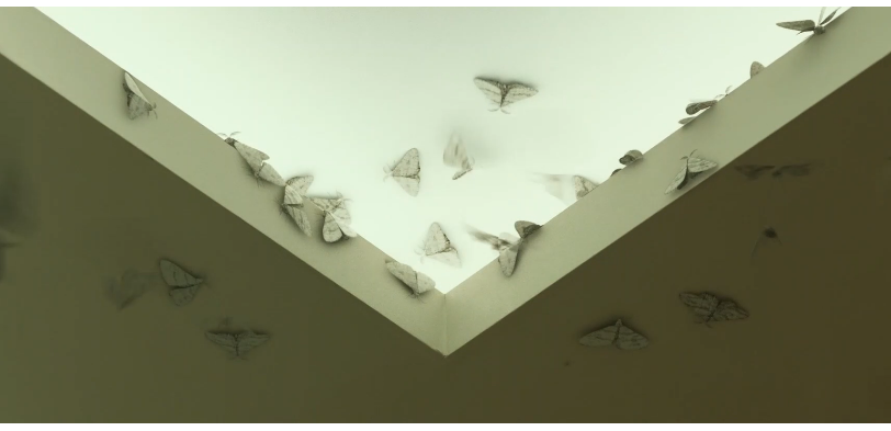 图片[5]-[夸克下载][三天][WEB-MKV/4.4G][韩语中字][1080P][朴新阳 李民基 最新恐怖大片]-影音屋