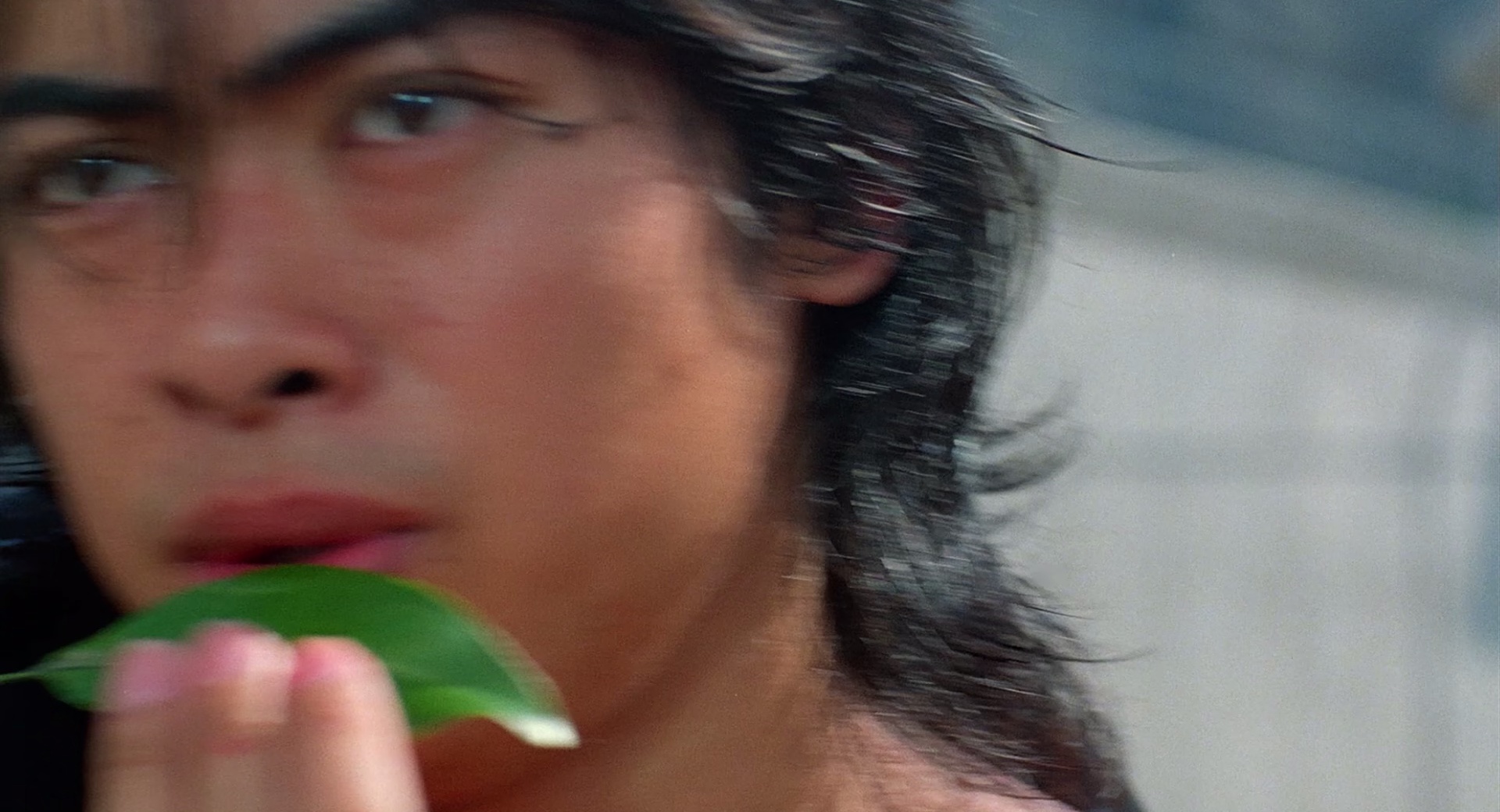 图片[4]-[夸克下载][力王][WEB-MKV/37.1G][国粤多音轨/中文字幕][4K-2160P][樊少皇 经典武打片]-影音屋