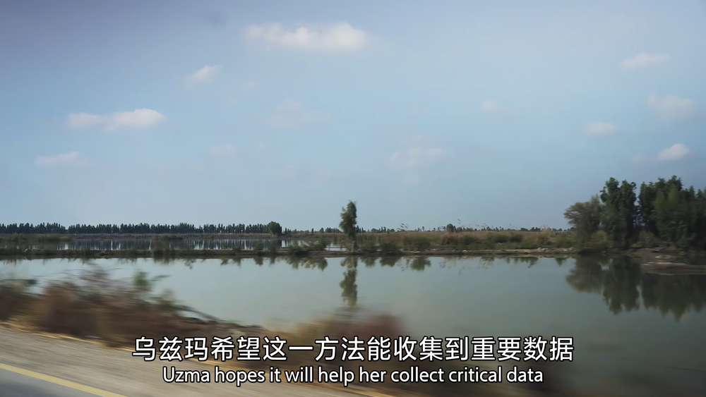 图片[6]-[夸克下载][地球脉动][全3季][WEB-MKV/500G][国英双语中字][4K/1080P][9.8分纪录片 超清极致观影]-影音屋