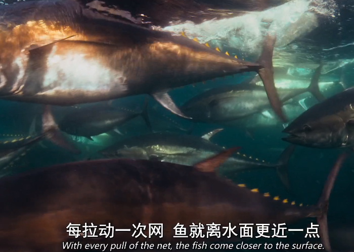 图片[3]-[夸克下载][舌尖上的世界][全8集][WEB-MP4/12.5GB][英语中字][1080P]-影音屋