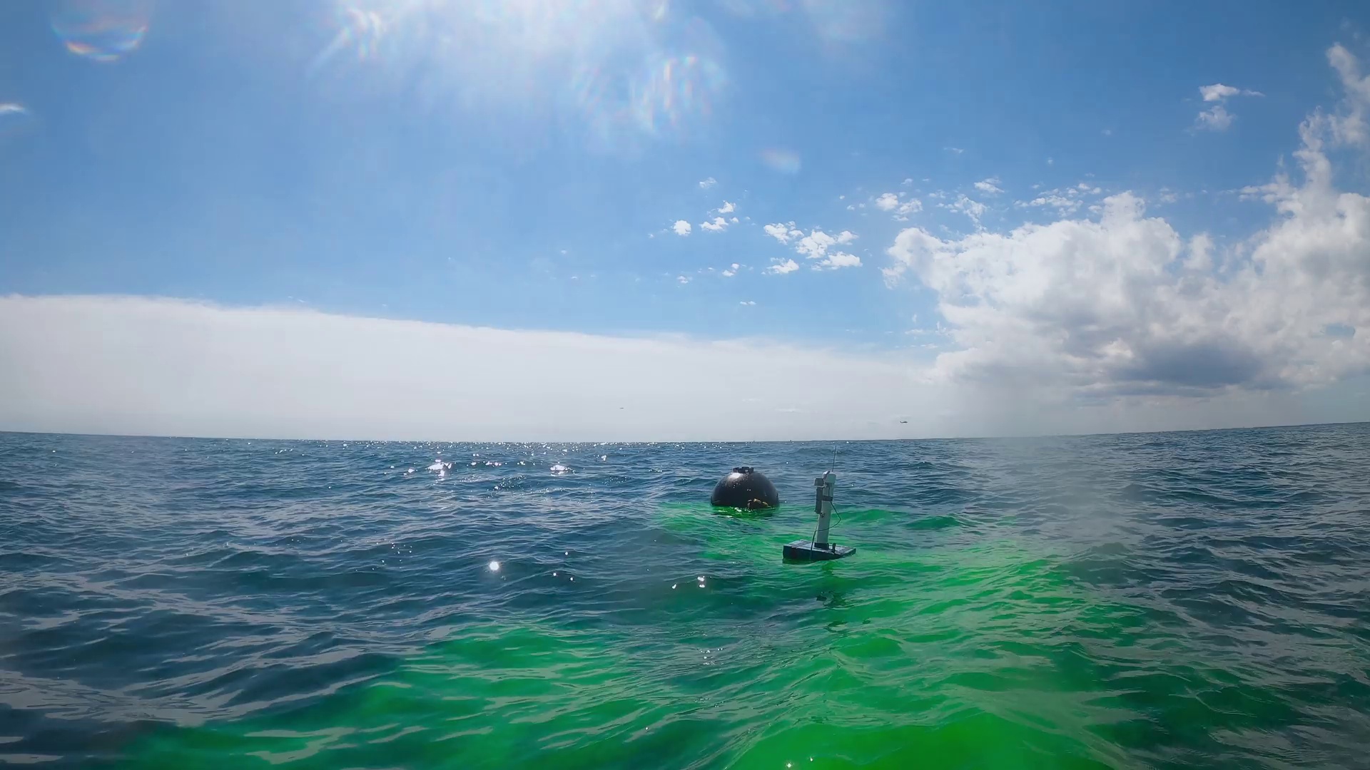 图片[8]-[夸克下载][地球最强部队][全8集][WEB-MKV/28.6G][英语中字][4K-2160P][BBC最新]-影音屋