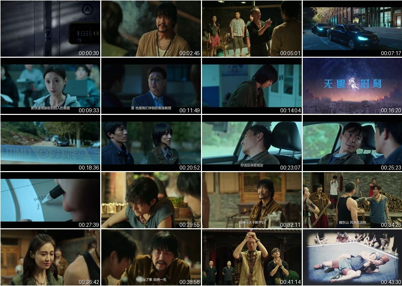 图片[2]-[夸克下载][宿敌][全16集][WEB-MKV/16G][国语中字][4K-2160P][廖凡犯罪悬疑剧 超前完结]-影音屋