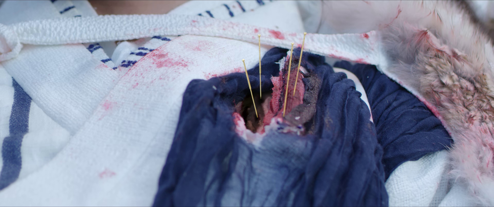 图片[5]-[夸克下载][七夜雪][全32集][WEB-MKV/53.8G][国语中字][4K/1080P][超前点映完结]-影音屋