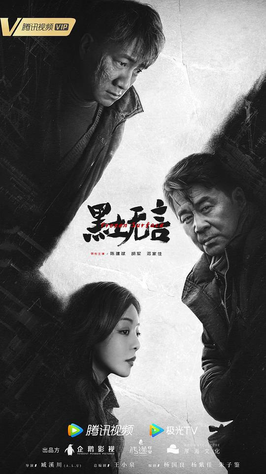 [夸克下载][黑土无言][全12集][WEB-MKV/20.7G][国语中字][4K/1080P][陈建斌 胡军 邓家佳 2024悬疑热剧]-影音屋