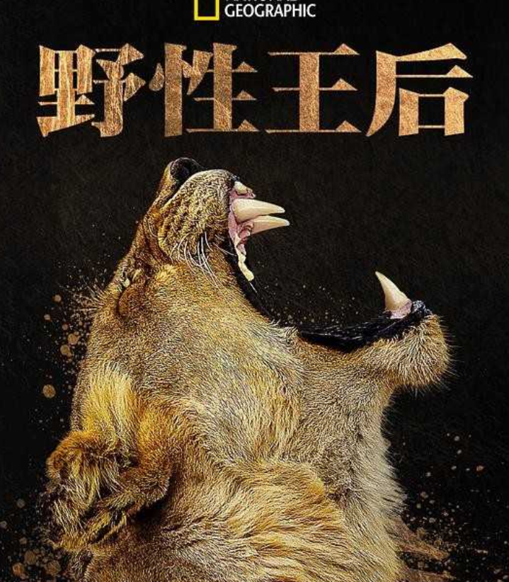 [夸克下载][野性王后][全6集][WEB-MP4/7.8GB][英语中字][4K-2160P][精彩纪录片]-影音屋