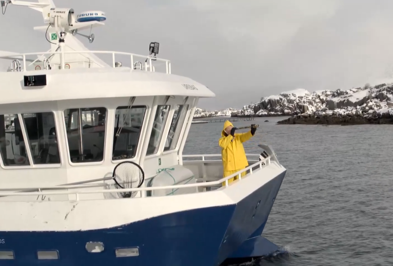 图片[5]-[夸克下载][柯南势在必行 第一季][全4集][WEB-MP4/3.1GB][英语中字][1080P]-影音屋